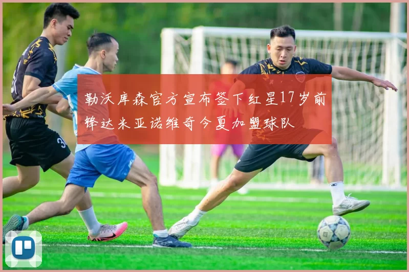 勒沃库森官方宣布签下红星17岁前锋达米亚诺维奇今夏加盟球队