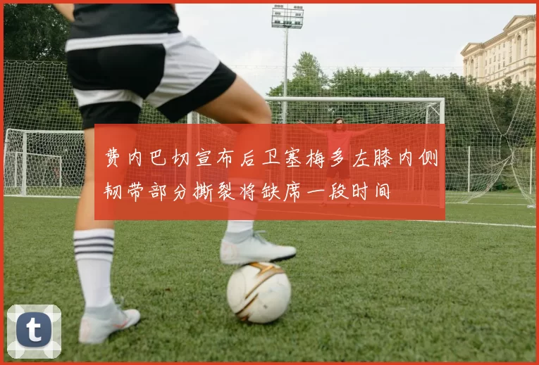 费内巴切宣布后卫塞梅多左膝内侧韧带部分撕裂将缺席一段时间